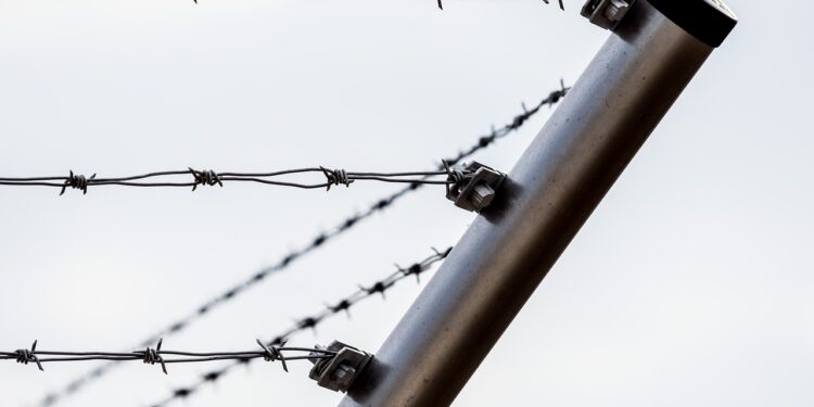 Piden a México no deportar a quienes necesitan protección internacional