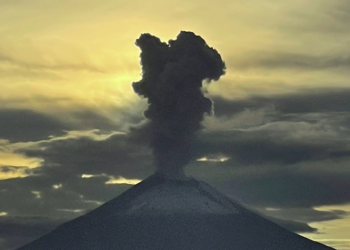 Volcán Popocatépetl aumenta actividad con caída de ceniza