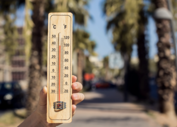 ¡El calor a todo lo que da en México!