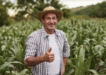 ¡Buenas noticias: se recupera la economía nacional!