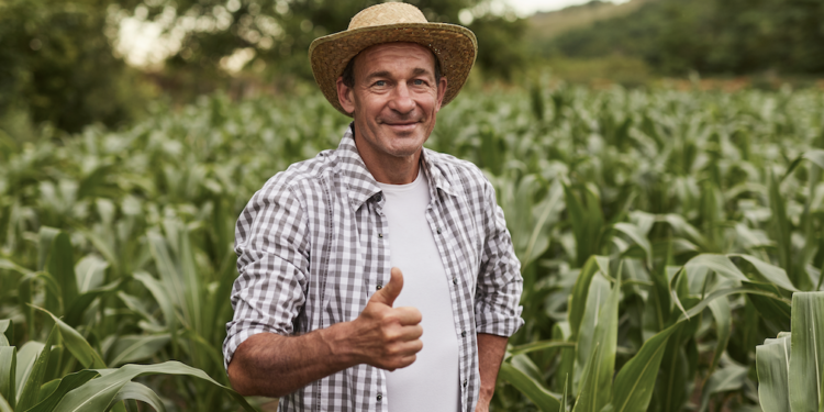 ¡Buenas noticias: se recupera la economía nacional!