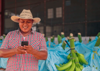 Ante la hiperdigitalización en México se debe reforzar la protección de datos personales