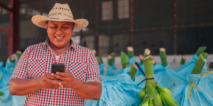 Ante la hiperdigitalización en México se debe reforzar la protección de datos personales