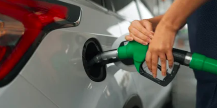 Otorgan estímulo fiscal a la Magna