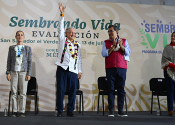 Presidente afirma que Sembrando Vida continuará en la gestión de Sheinbaum