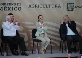 Espera Claudia Sheinbaum que TEPJF valide pronto la elección