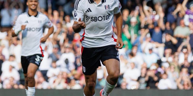 Vuelve a anotar Raúl Jiménez en la Premier League