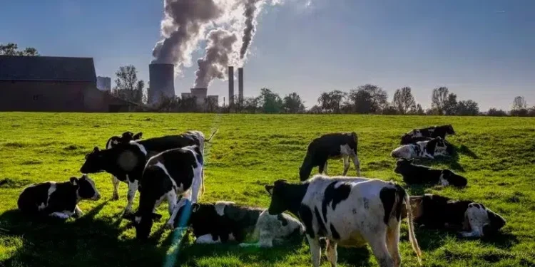 Microbios, responsables del metano en el mundo