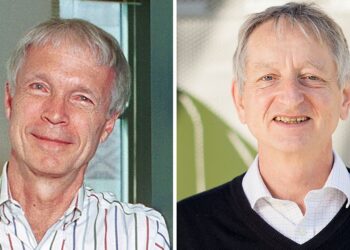 Hopfield y Hinton ganan el Nobel de Física tras aportes a la IA