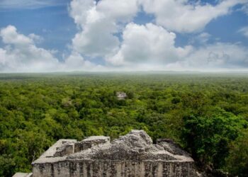 Descubren por accidente nueva ciudad de los Mayas