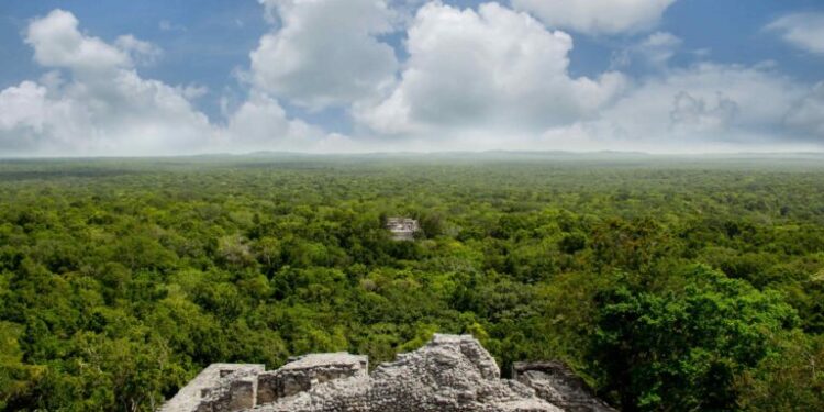 Descubren por accidente nueva ciudad de los Mayas