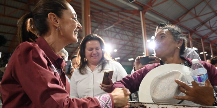 Sheinbaum impulsa producción de frijol con Programas de apoyo al campo en Zacatecas