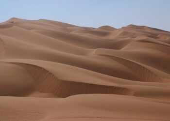 Científicos descubren microbios en el desierto más seco del mundo
