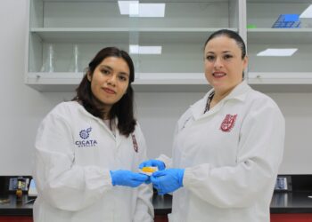 IPN crea parche inteligente para heridas crónicas