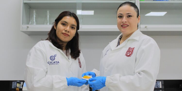 IPN crea parche inteligente para heridas crónicas