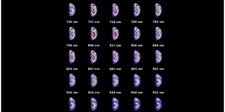 Así se ve la Tierra desde el espacio profundo
