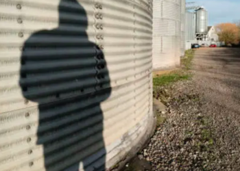 Contundentes resultados del operativo al combate de mercancía introducidas y distribuidas de manera ilegal en el país