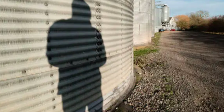 Contundentes resultados del operativo al combate de mercancía introducidas y distribuidas de manera ilegal en el país