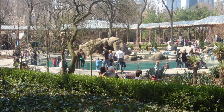 Ciertos árboles incrementan el calor durante la noche: investigadores