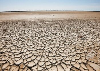 Se reúne la ONU para luchar contra la desertificación del planeta
