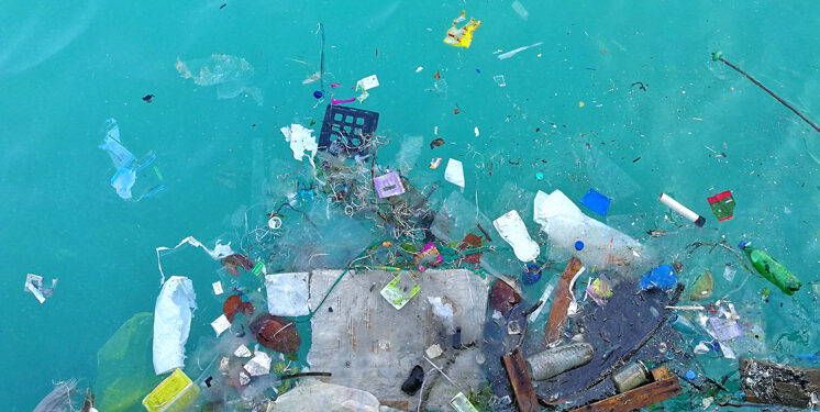 Drogas humanas empiezan a afectar especies marinas en los océanos