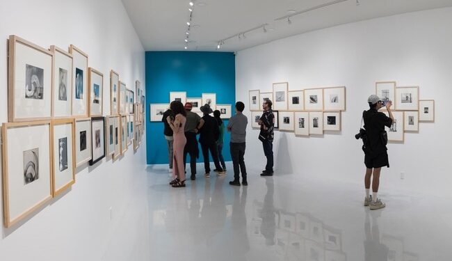 Últimos días de “Manuel Álvarez Bravo, Pesquisas de la lente” en el Museo de Arte Moderno