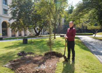 Sheinbaum confía en que 2025 será un gran año gracias a la unidad con el pueblo mexicano