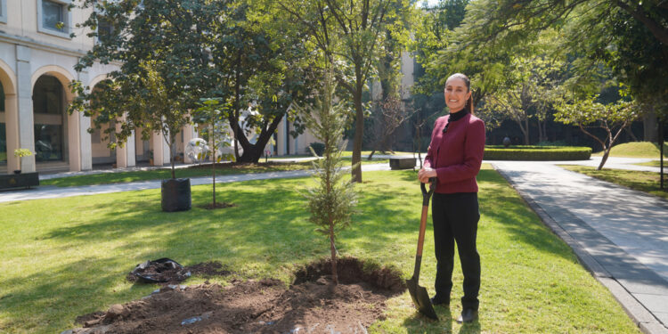 Sheinbaum confía en que 2025 será un gran año gracias a la unidad con el pueblo mexicano
