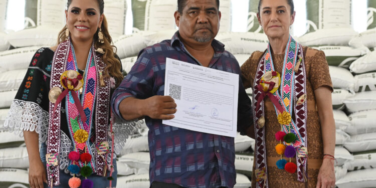 El Programa de Fertilizantes Gratuitos ya es un derecho constitucional de las y los campesinos: Sheinbaum