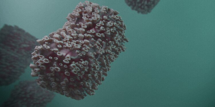 La viruela símica ha llegado a países que antes no tenían registros de la enfermedad