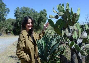 Proyecto ENAH-CONAHCYT busca la valoración de la flora de Cuicuilco como patrimonio biocultural