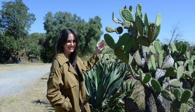 Proyecto ENAH-CONAHCYT busca la valoración de la flora de Cuicuilco como patrimonio biocultural