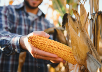 Exportaciones de México a EE.UU. alcanzan récord en enero de 2025