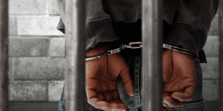 Presidenta resalta baja de homicidios y estrategia de seguridad