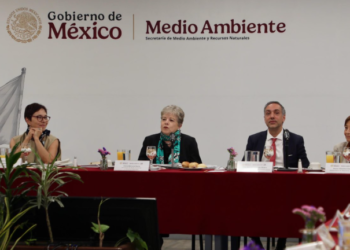 Tren Maya requiere proyecto de restauración ambiental