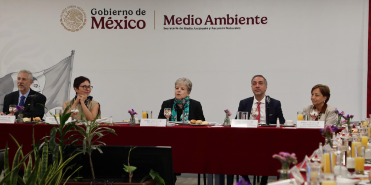 Tren Maya requiere proyecto de restauración ambiental