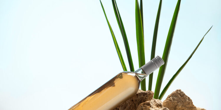 Tequila genera más de 4 mil millones de dólares al año